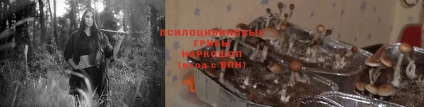 дурь Семикаракорск