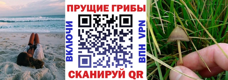 hydra ССЫЛКА  Карталы  Псилоцибиновые грибы Magic Shrooms 